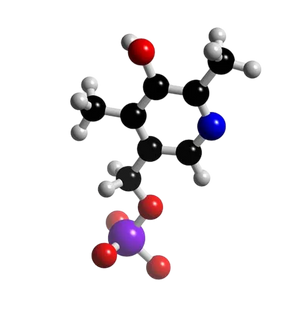 Vitamin B6 (Pyridoxine HCI) 4mg