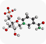Vitamin K2